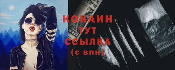 гашик Остров