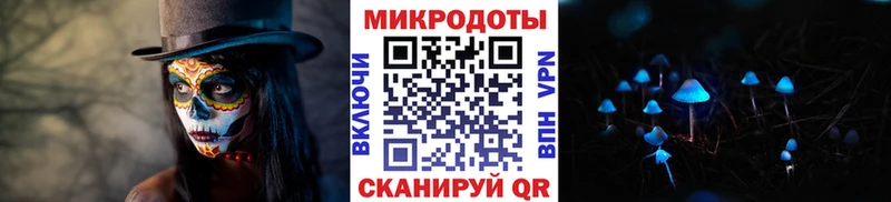 дарнет шоп Гурьевск Псилоцибиновые грибы прущие грибы