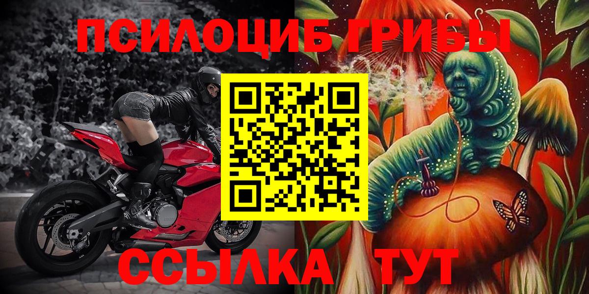 как найти закладки  Гурьевск  Галлюциногенные грибы MAGIC MUSHROOMS 