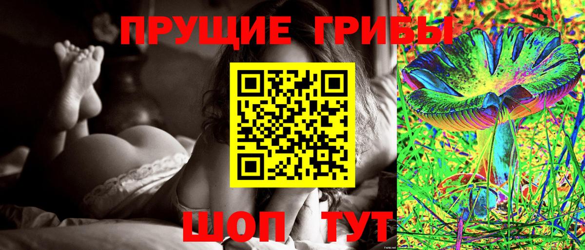 Гурьевск  Галлюциногенные грибы GOLDEN TEACHER  Вход с VPN 