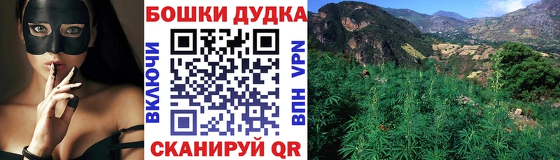 наркотики  МЕГА ТОР  Шишки марихуана Amnesia  Гурьевск 